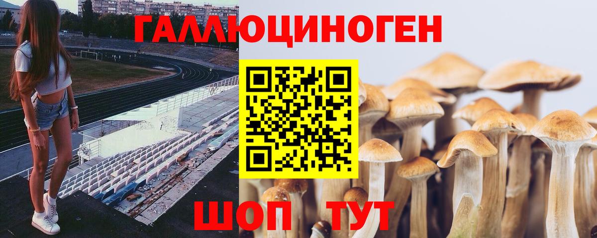 Кувандык  наркошоп  Вход с VPN  Псилоцибиновые грибы мухоморы 